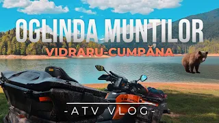 "The Vidraru Dam-The Cumpăna Cabin🌊 | Greeting the Bears🐻 | Losing my GoPro📷 | Crashing the Drone🚁"