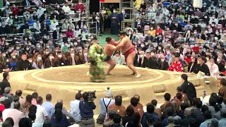 Champion 🏆sumo match @Osaka 27/03/2022  Wakatakakage vs Takayasu