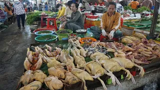 Cambodia Food Market Show - Plenty Fresh Fish, Vegetables, Pork, Beef & More in Food Market