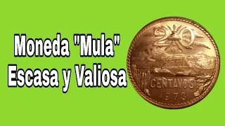 Moneda Mula de 1973 / Monedas de México / Monedas Mexicanas / Mexican Coins