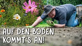 Wildblumenwiese mit dem richtigen Untergrund anlegen! 🌼 - Einfache Anleitung zum Nachmachen