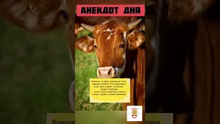 Очень нужный подарок😂 #анекдот #смех #юмор #прикол #ржака