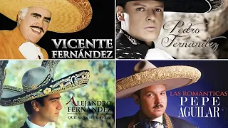 ALEJANDRO FERNANDEZ,PEDRO FERNANDEZ,VICENTE FERNANDEZ,PEPE AGUILAR - EXITOS SUS MEJORES