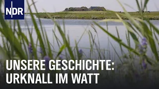 Wattenmeer: Als die Umwelt wichtig wurde | Unsere Geschichte | NDR Doku