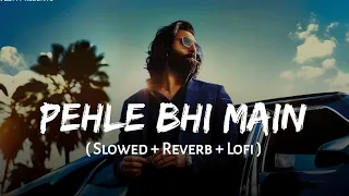 Pehle Bhi Main { Slowed & Reverb } Vishal Mishra  Animal [🎧😇 USE HEADPHONE 💝🎧] Lo Fi Music LS Hindi