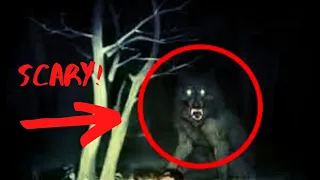 5 Wild Werewolves Caught On Tape! | 100% Real |