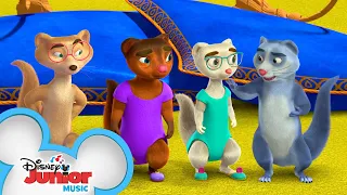 Mira's Gymnastic Fun | Music Video | Mira, Royal Detective | Disney Junior