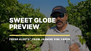 Preview of Sweet Globe