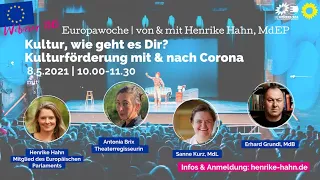 Europawoche - Webinar 6: Kultur, wie geht es Dir? Kulturförderung mit & nach Corona (8.5.2021)