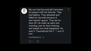 Gruesome (and funny) hamster deaths, from iFunny