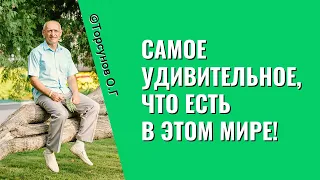 Самое удивительное, что есть в этом Мире! Торсунов лекция