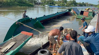 Va Chạm Nghiêm Trọng Vì Mê Xem Điện Thoại Khiên 1 Sà Lan  Quay Đầu Chìm Tại Chổ