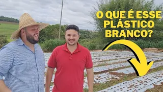 O que é esse plástico branco (mulching)? Conservação de solo na área e manejo de plantas espontâneas