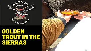 Golden Trout Fishing in the Sierras