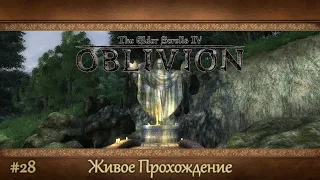 The Elder Scrolls IV: Oblivion [#28] В поисках Скелетного Ключа /// Живое Прохождение