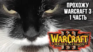 Warcraft III - Прохождение (часть 1)