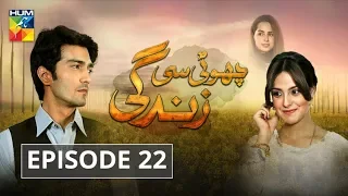 Choti Si Zindagi Episode #22 HUM TV Drama