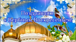 🍃Вербное воскресенье! Вход Господень в Иерусалим!🍃 Красивое поздравление с вербным воскресеньем!