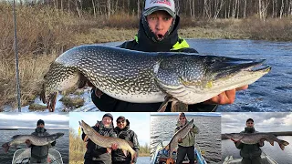 How Many 10+ kg Pike from 5 days in Siberia?