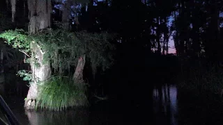 New Orleans NIGHT TIME Swamp Tour Part 1 Alligators Cajun Encounters New Orleans