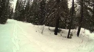 Snowshoeing in for snow camping at Lake Trillium