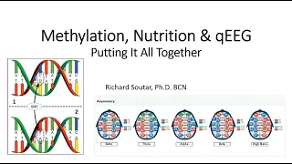 Methylation Nutrition & qEEG Part 1