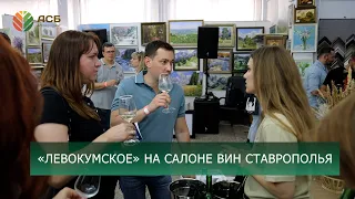 Салон вин Ставрополья/Вино Левокумское/Дегустация вин/Подготовка к уборке2024/Интернет-мошенники