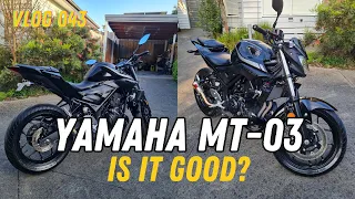 Yamaha MT-03 - A Brutally Honest Review [Vlog 43]