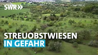 Bedrohte Streuobstwiesen | Zur Sache! Baden-Württemberg