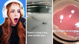 Is there a bug in that candle?
