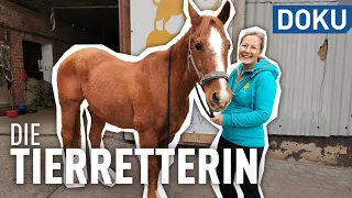 Die Tierretterin | erlebnis hessen | doku