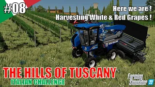HERE WE ARE ! HARVESTING WHITE & RED GRAPES ! | #08 HILLS OF TUSCANY - ITALIA | FS22 | PS5/HD