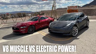 2020 Mustang GT A10 vs 2019 Tesla Model 3 Performance!