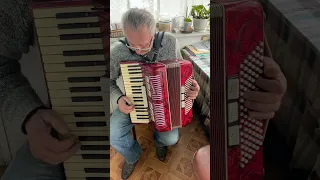 Weltmeister piano accordion, 7/8 accordion, 96 Bass, 37 keys, 3 voices, 5+3 registers, You can buy
