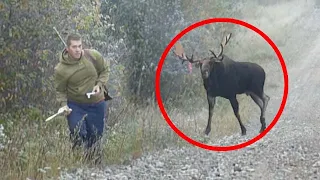 6 Times Hunters Messed With The Wrong Animals (Part 3)