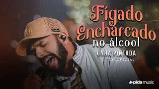 Unha Pintada - Fígado Encharcado no Álcool - Clipe Oficial