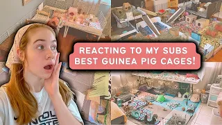 Reacting To My Subscribers BEST Guinea Pig Cages!