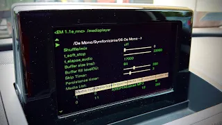 Audi RMC hidden green menu activation