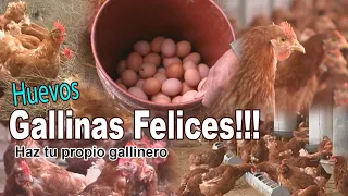 HUEVOS DE GALLINAS FELICES,HAZ TU PROPIO GALLINERO