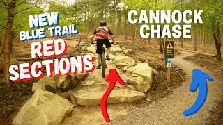 How hard are the NEW Red Sections?  | MTB Cannock Chase