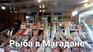 Сколько стоит замороженная рыба в Магадане?