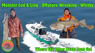 Monster Cod & Ling Whitby Offshore Wrecking