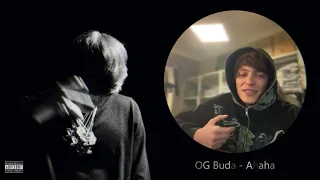 OG Buda  (snippet's 16.04.23)