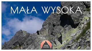 Mała Wysoka 2429 m - przez Polski Grzebień, Gerlach w tle