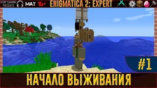 LP ► Minecraft ► Enigmatica 2: Expert #1 - Начало выживания