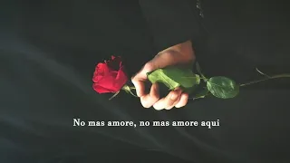 Willie Nelson & Alison Krauss - No Mas Amor (Lyrics)