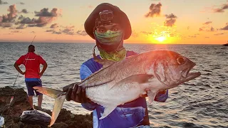 Horse Eye Jack Fish off the Rocks | Tobago Fishing 🇹🇹