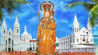 LIVE - 27-10-2021 | Wednesday 12.00 Noon Mass - Our Lady of Good Health Vailankanni Shrine Basilica