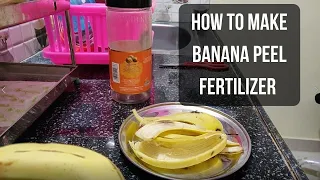 How to Make Banana Peel Fertilizer (A Complete Step by Step Guide)