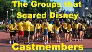 The Groups that had Disney World Cast Members Afraid- Ep 15 Confessions of a Theme Park Worker